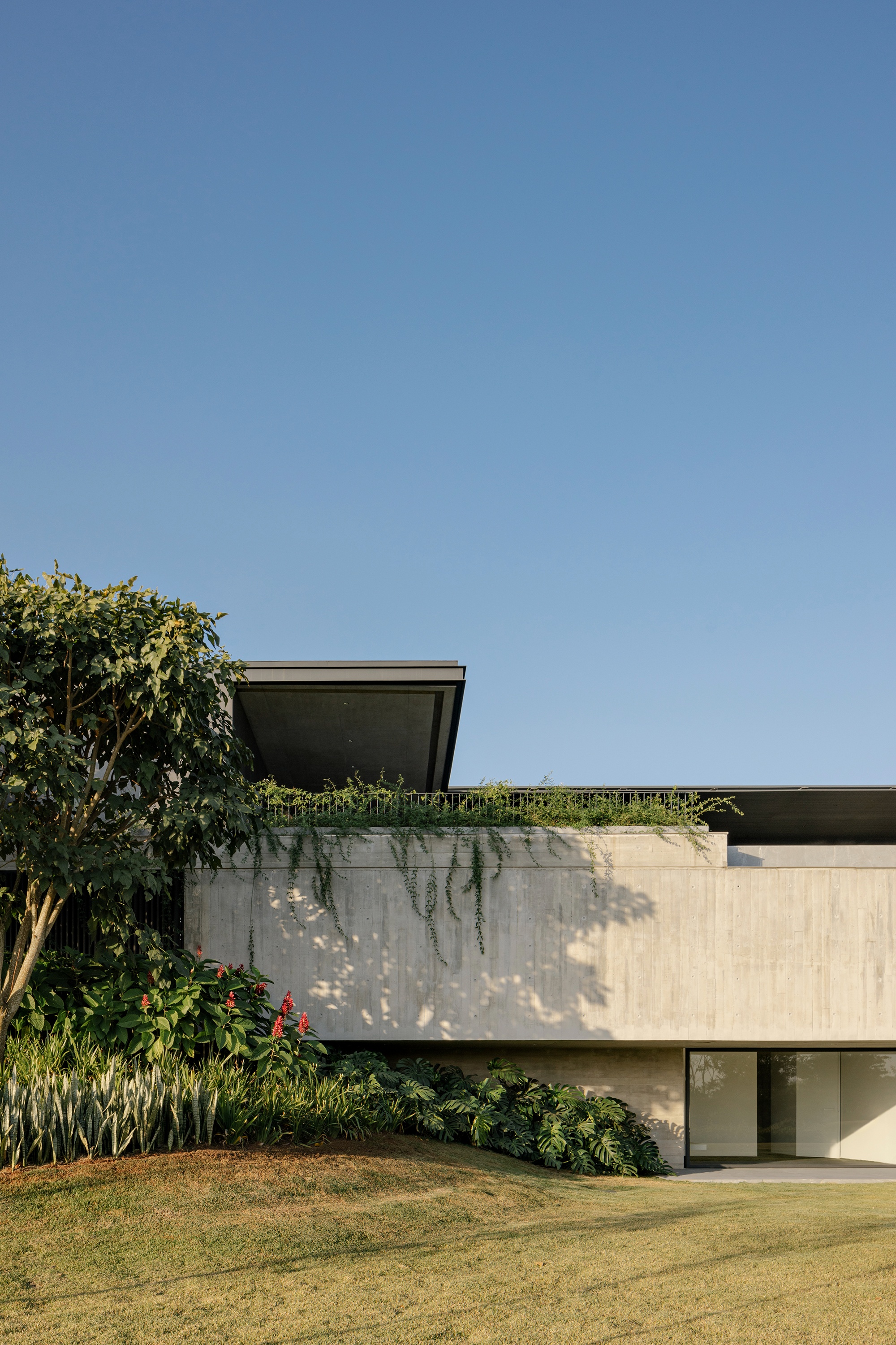 CL住宅:在地的营造丨巴西圣保罗-4