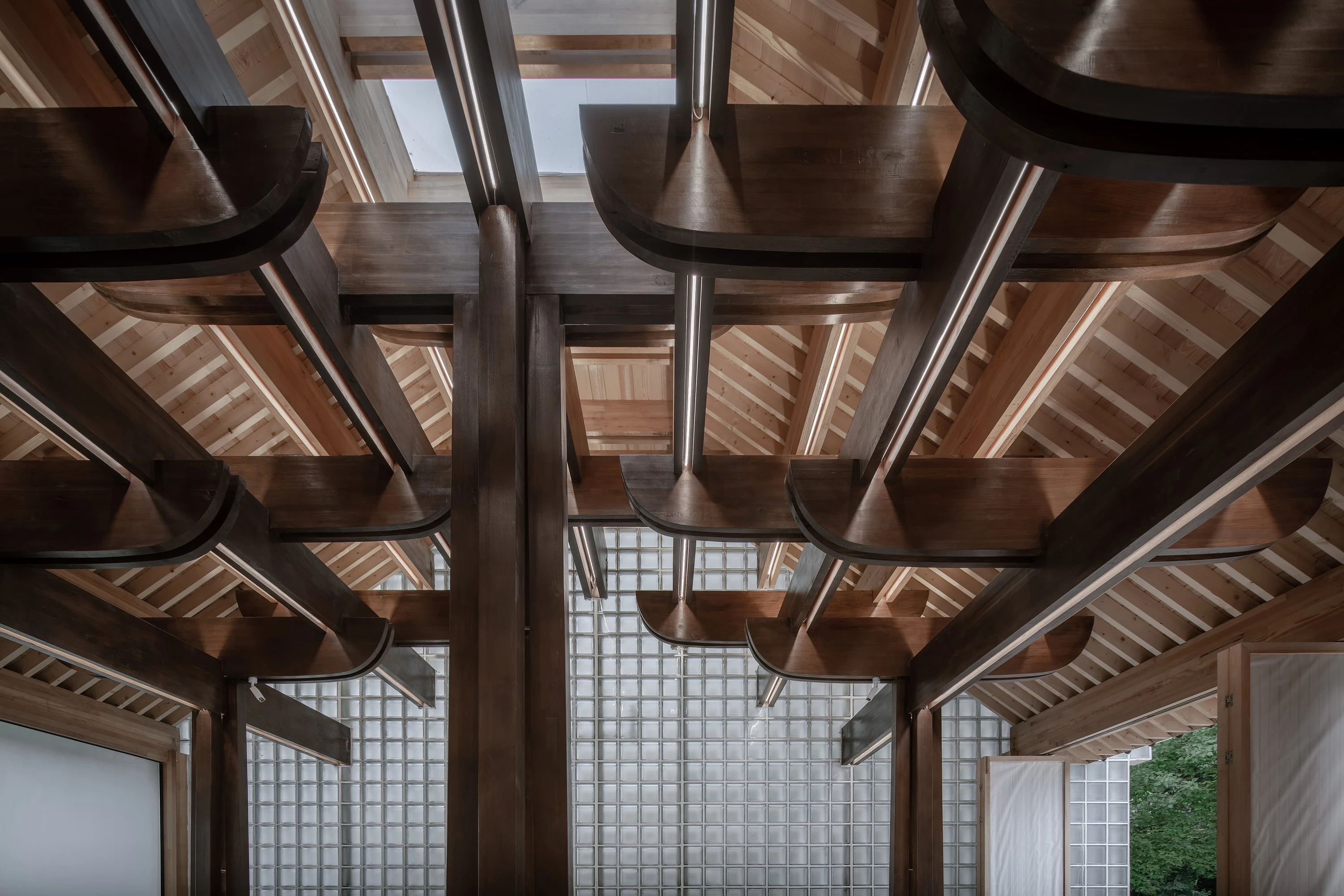 家族大厅 X·树下对真理的追寻-35