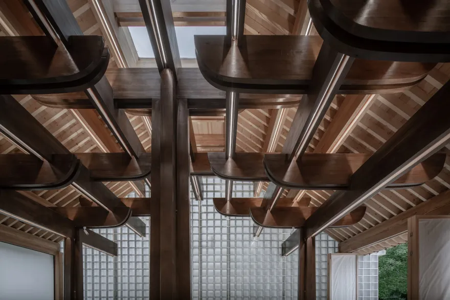 家族大厅 X·树下对真理的追寻-35