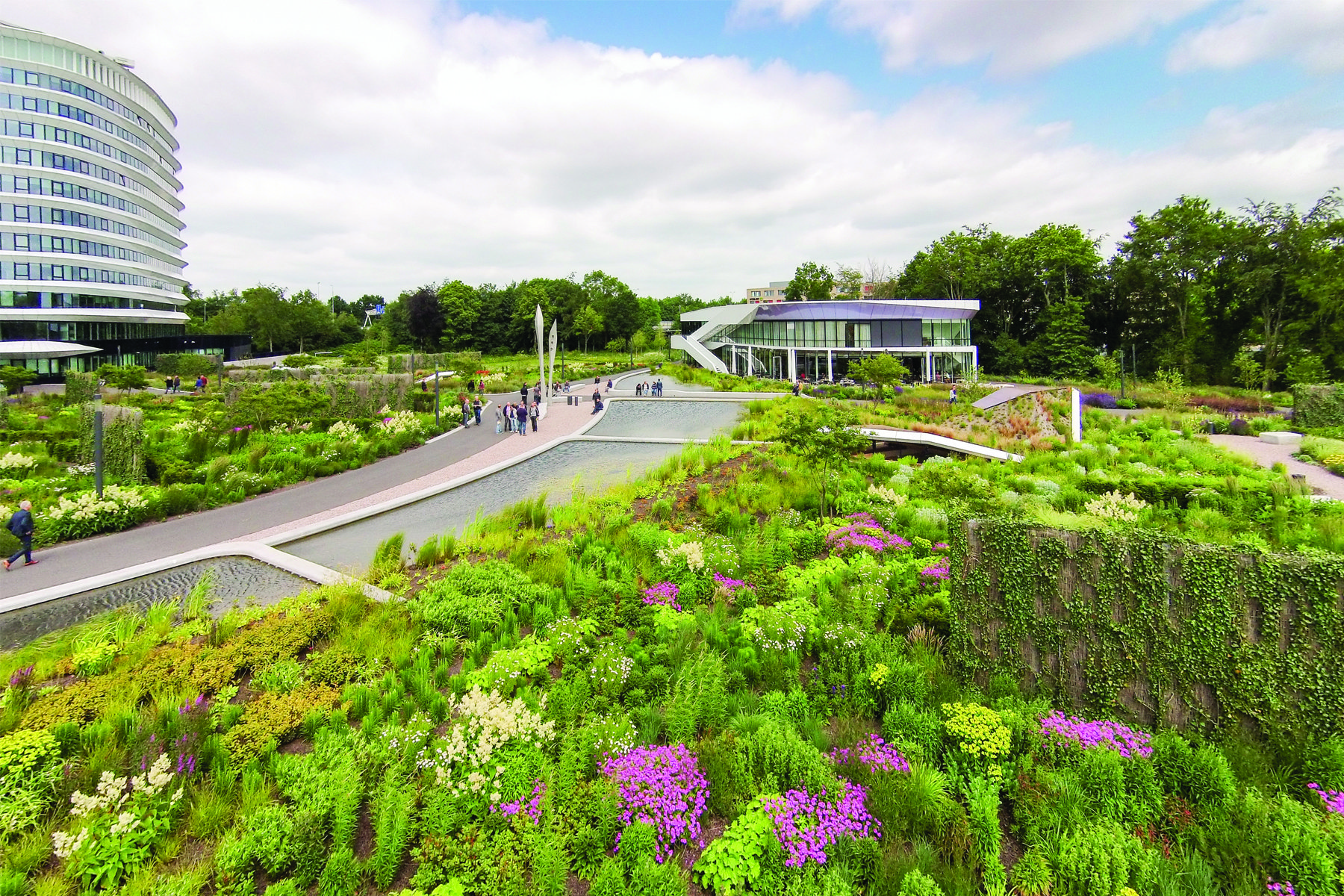 荷兰格罗宁根凯普肯斯堡城市花园-20