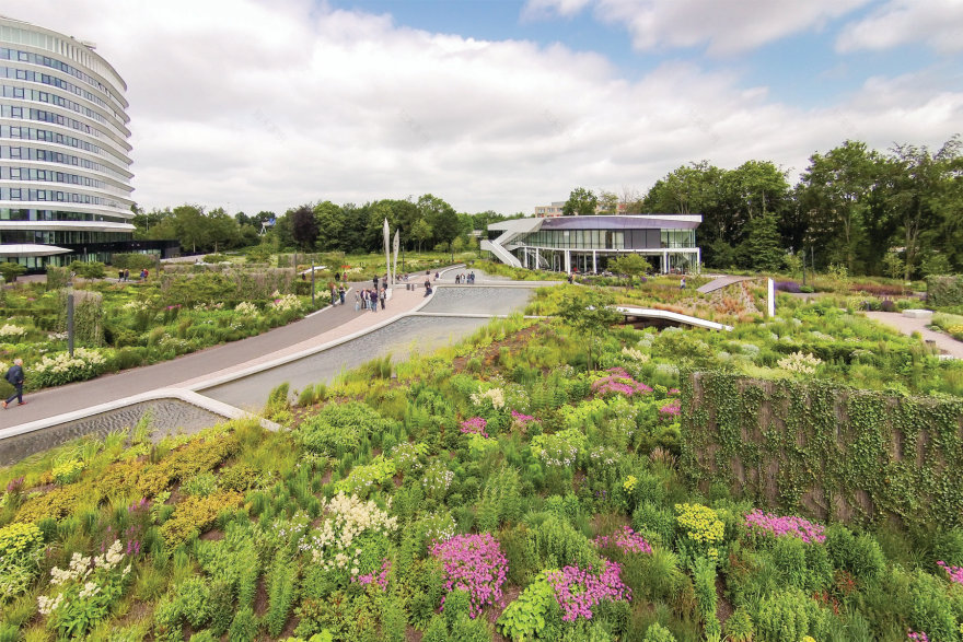 荷兰格罗宁根凯普肯斯堡城市花园-20