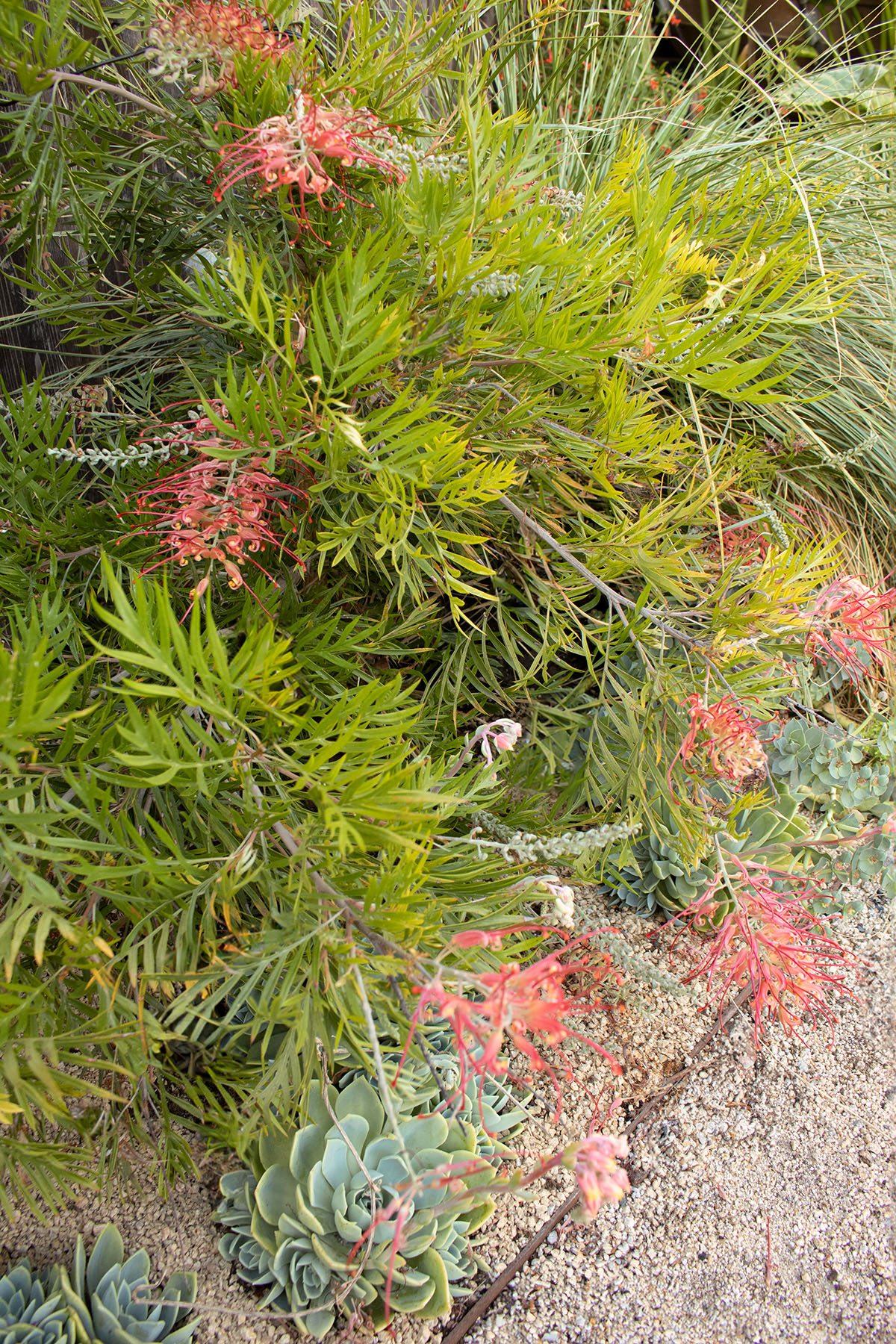 身边风景 | Soft Studio-58