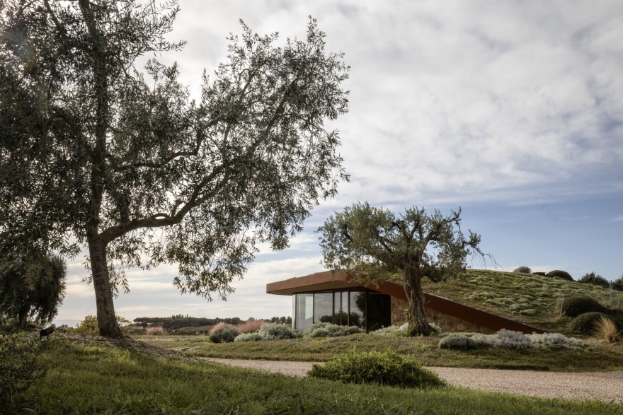 意大利 Il Quinto 酒厂丨Ubik 建筑-16