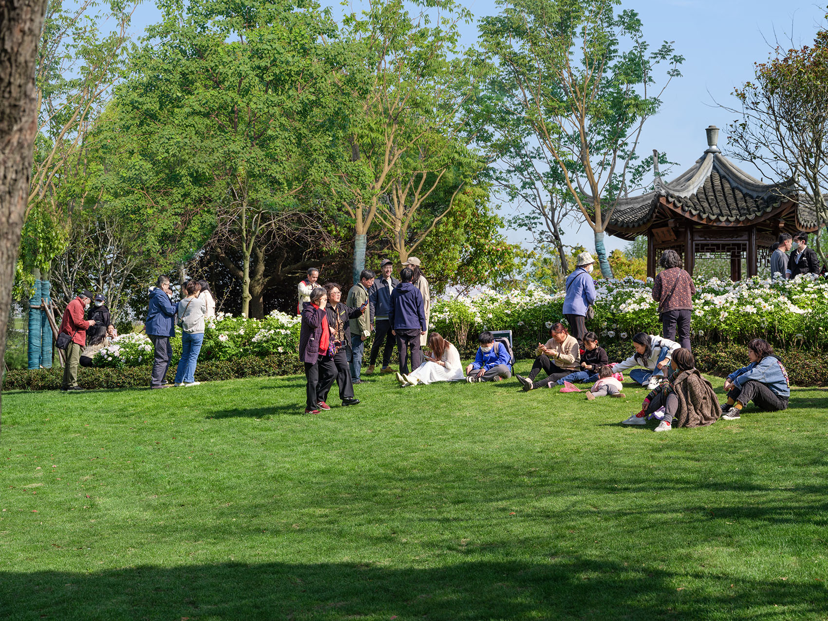 上海浦东牡丹园改造丨中国上海-54