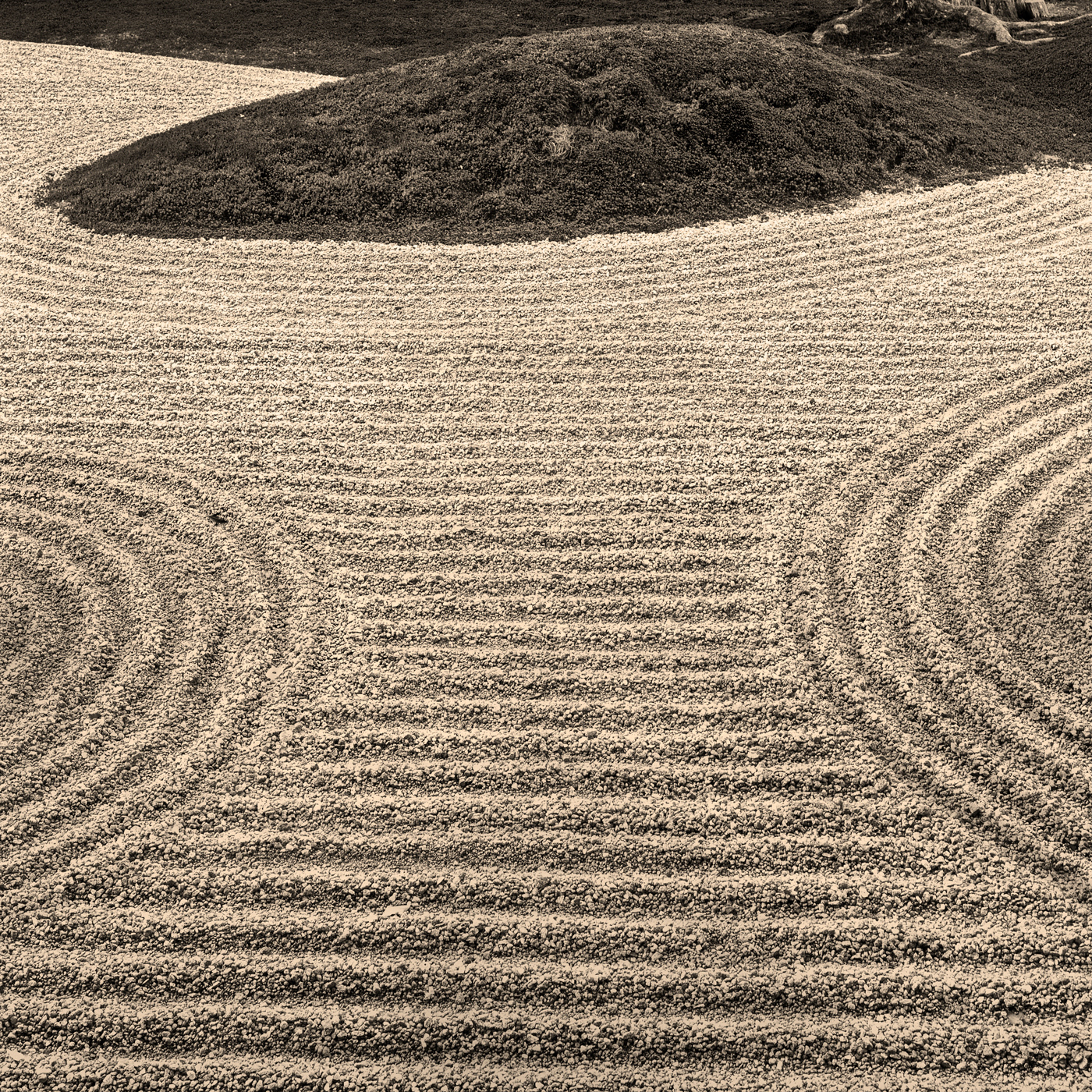 本保，日式庭园-5