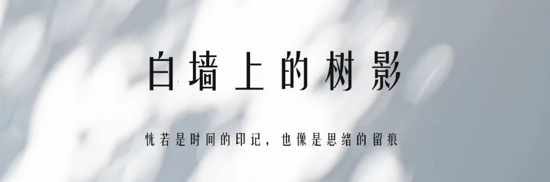 一抹风清与月白 | 金科 · 集美天宸-54