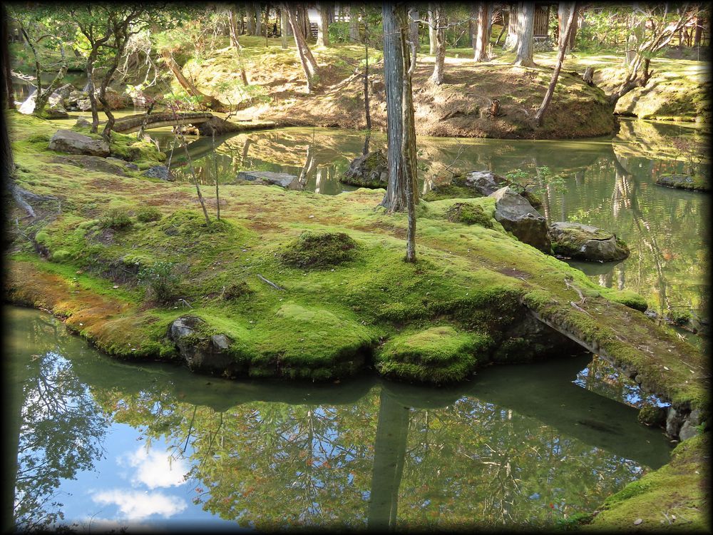 苔寺（西芳寺）的苔庭（黄金池,金刚池）丨日本京都丨梦窗疎石-61