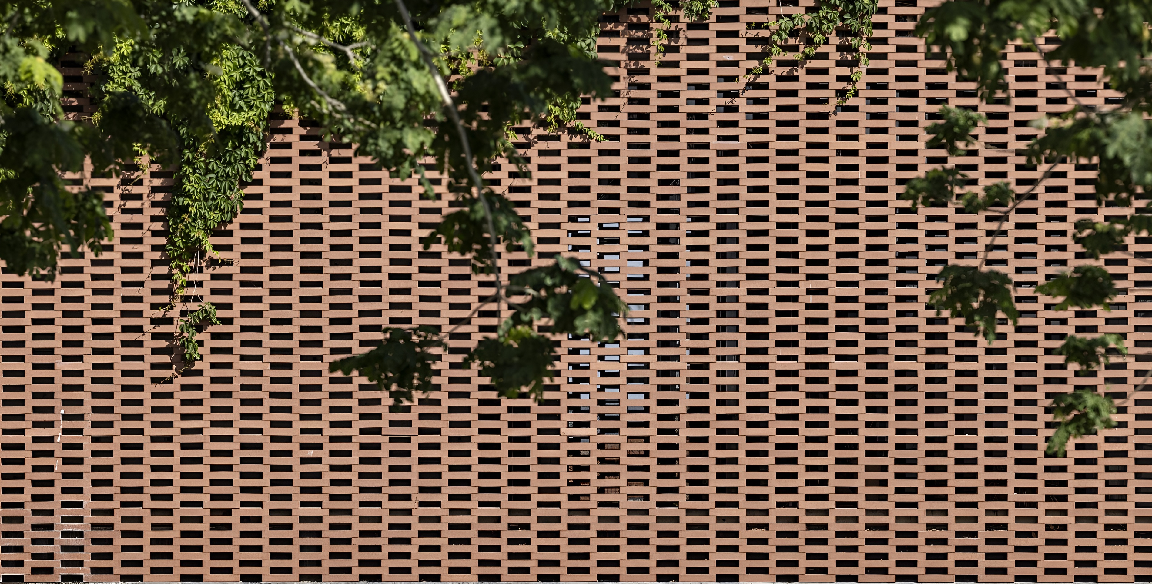 赤土联排别墅丨以色列丨Pitsou Kedem Architects-8