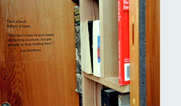 north end free library bench 1-24