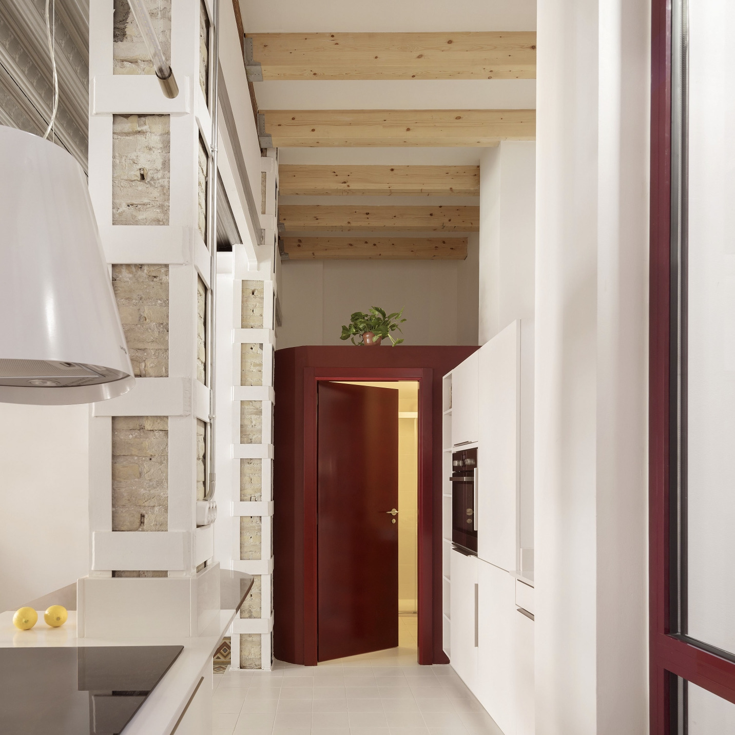 Les pinyes del Cabanyal 干预丨西班牙丨Piano Piano 工作室-26