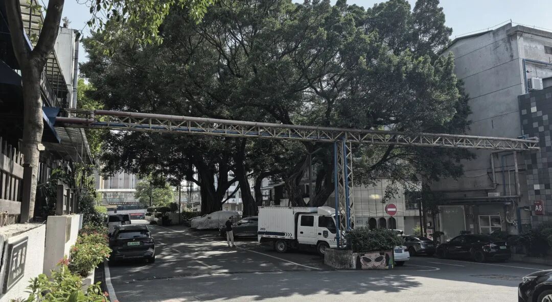 饮一杯广州味道——T.I.T原创荟改造（原广东饮料厂）-43