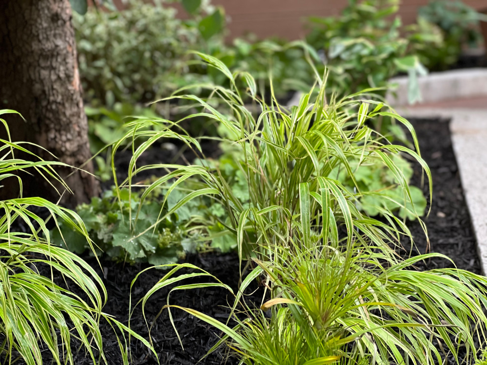 Williamsburg新公寓荫蔽花园丨美国纽约-21