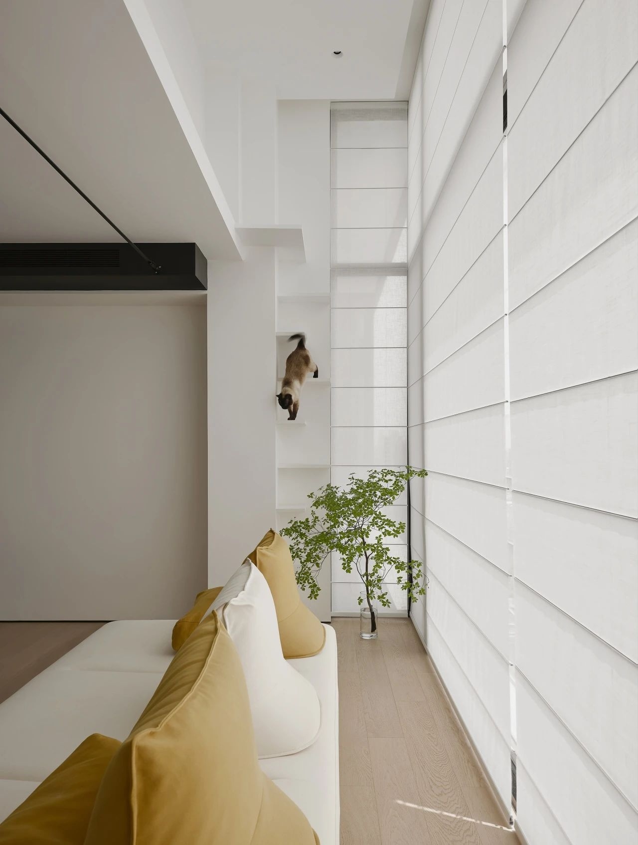 人宠共居的极简宅,藏下人与猫的自在共处 · FF空间设计-1