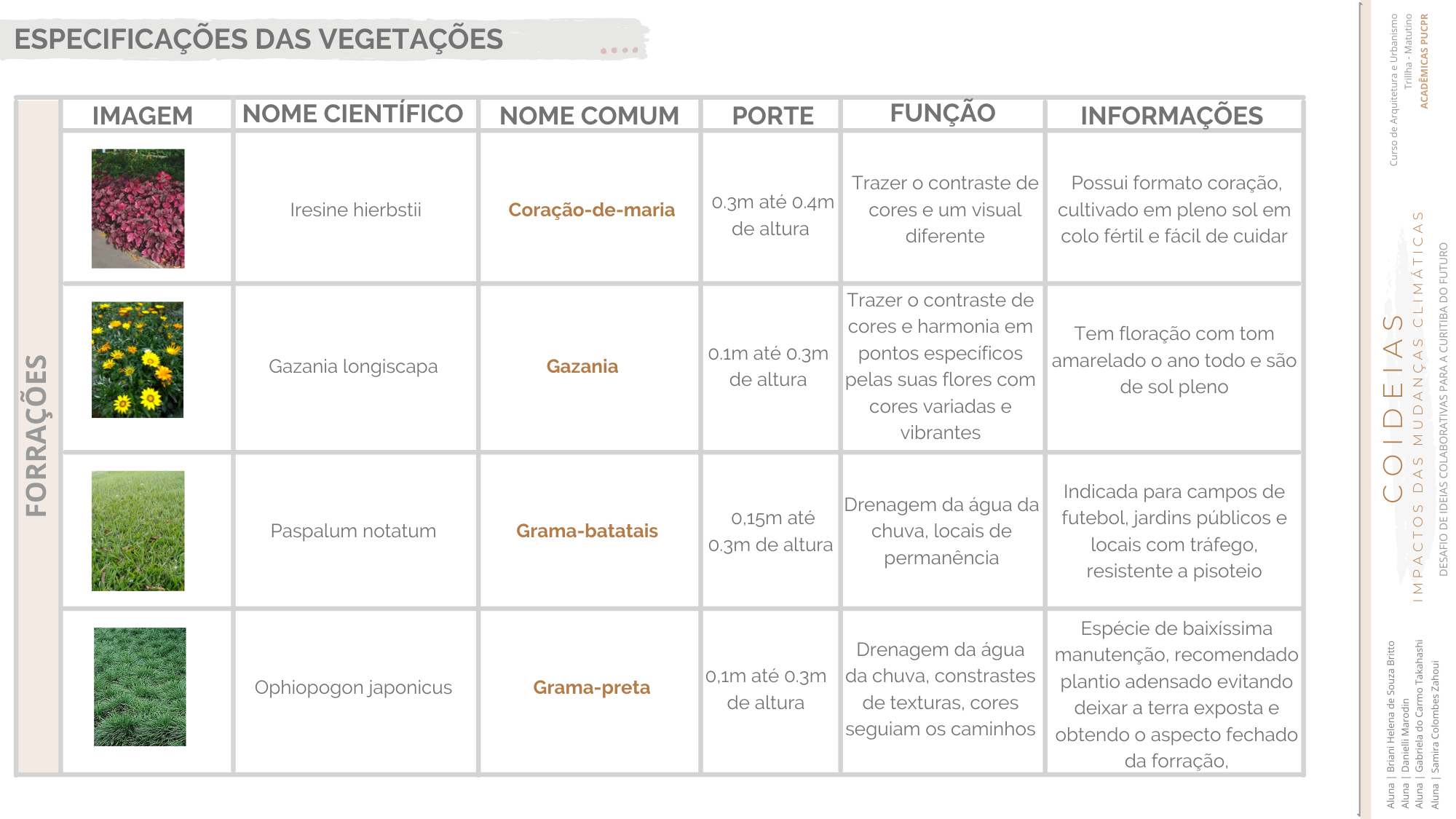 COIDEIAS - Metamorfose Resiliente-21