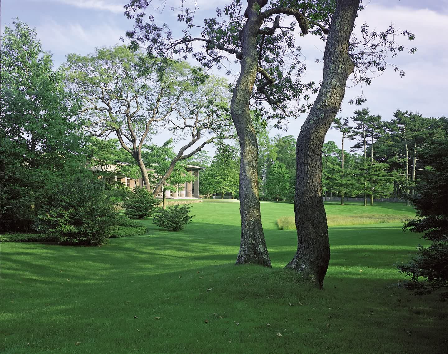 Hither Lane 景观与建筑-10