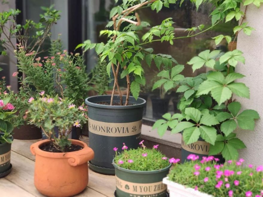 吕国龙 | 用热爱绘出鲜活设计-80