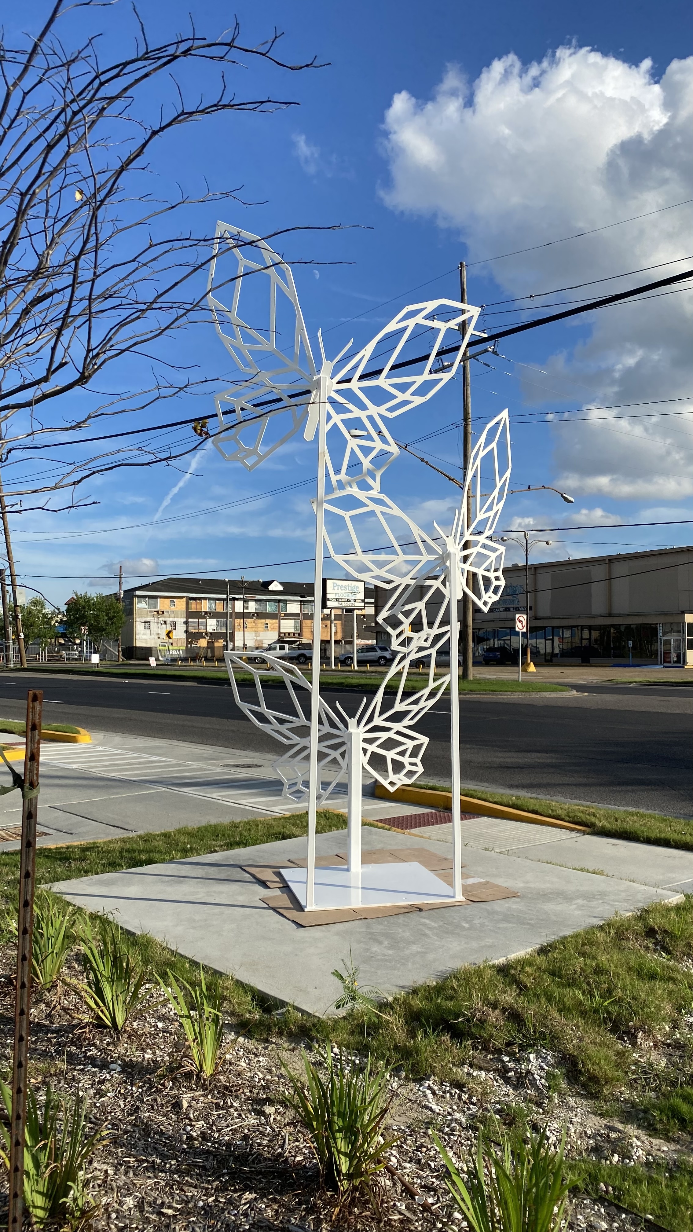 Butterflies - Ochsner Medical 2021-4