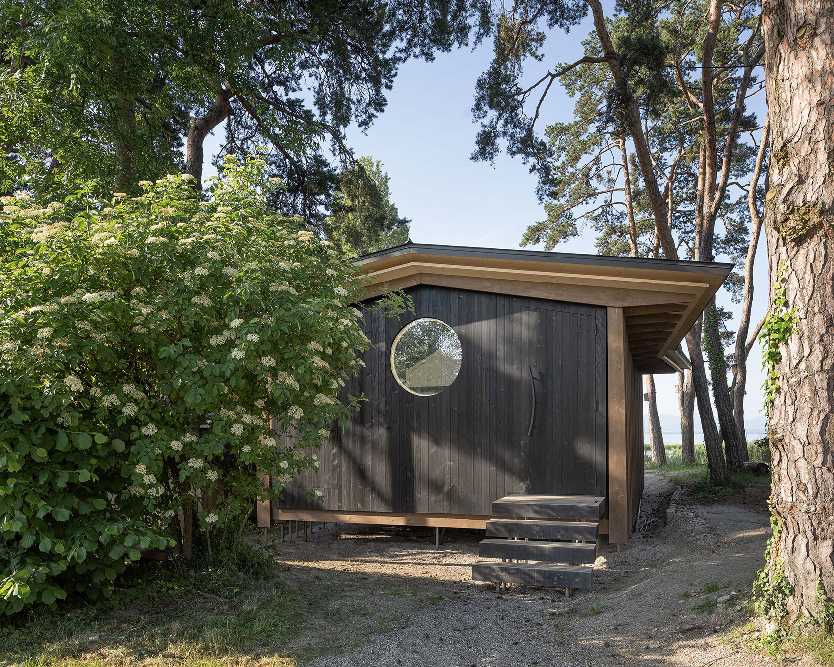 鸟岛屋丨瑞士洛桑丨LOCALARCHITECTURE-14