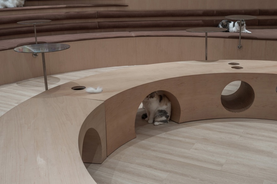 啵啵喵丨中国江苏丨无锡欧阳跳建筑设计有限公司-47