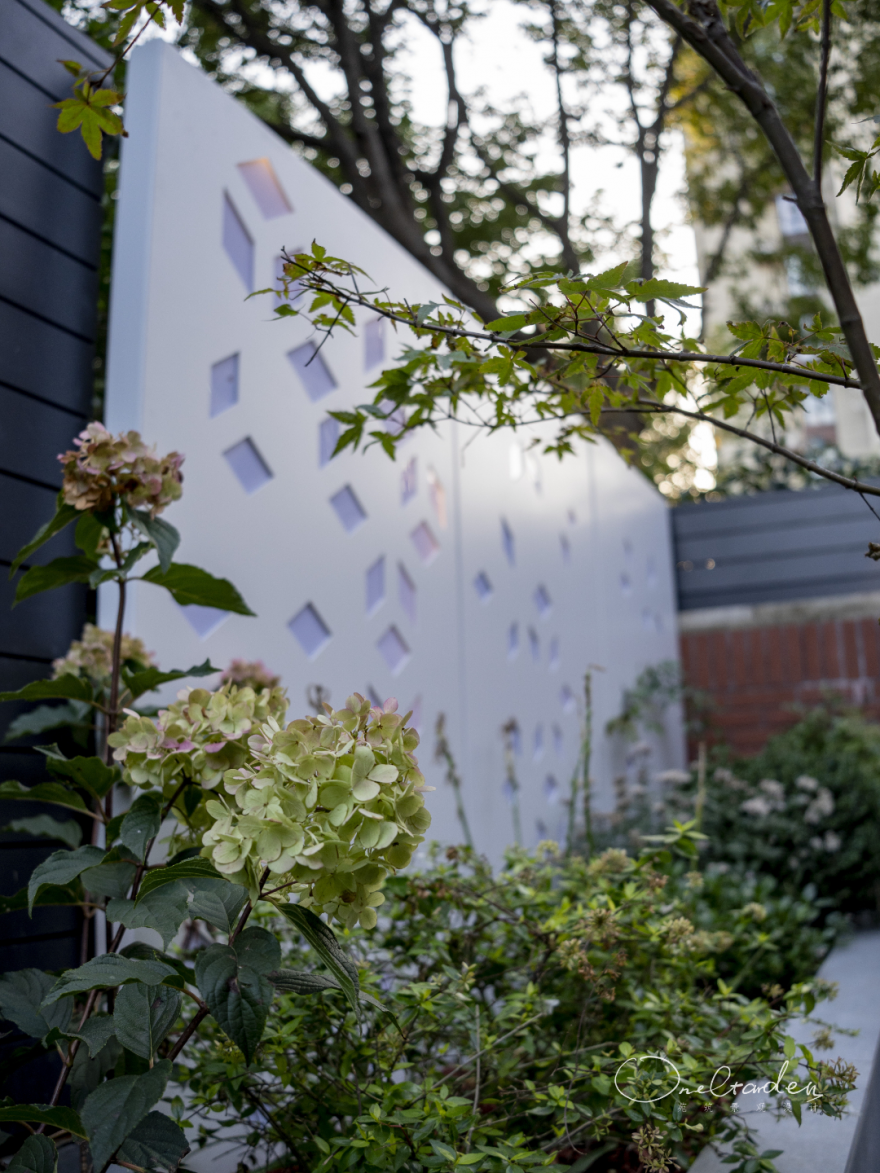 蓝莓花园 · 60㎡小院改造丨中国上海丨OneGarden-30