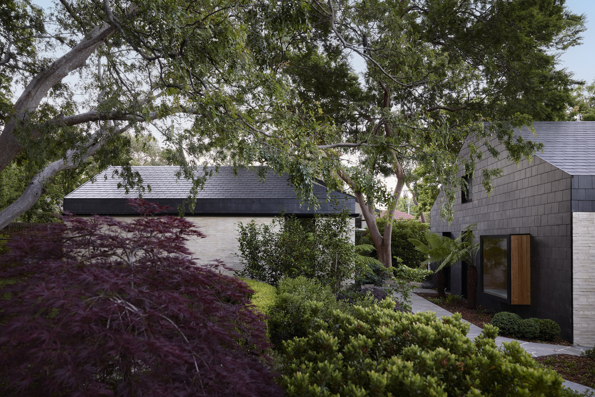 丨澳大利亚堪培拉丨Austin Maynard Architects-57