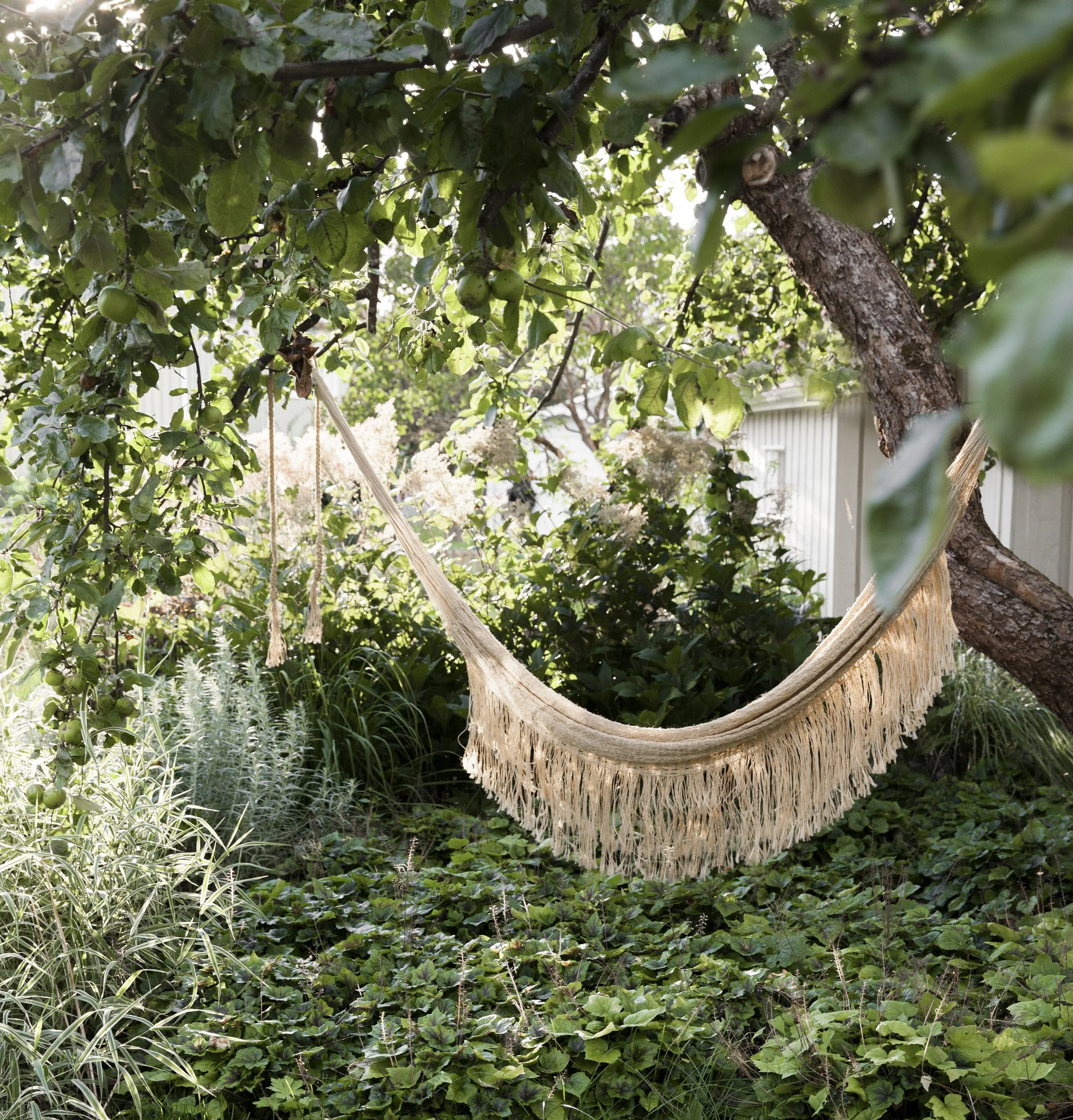 奥斯陆花园住宅丨挪威-0