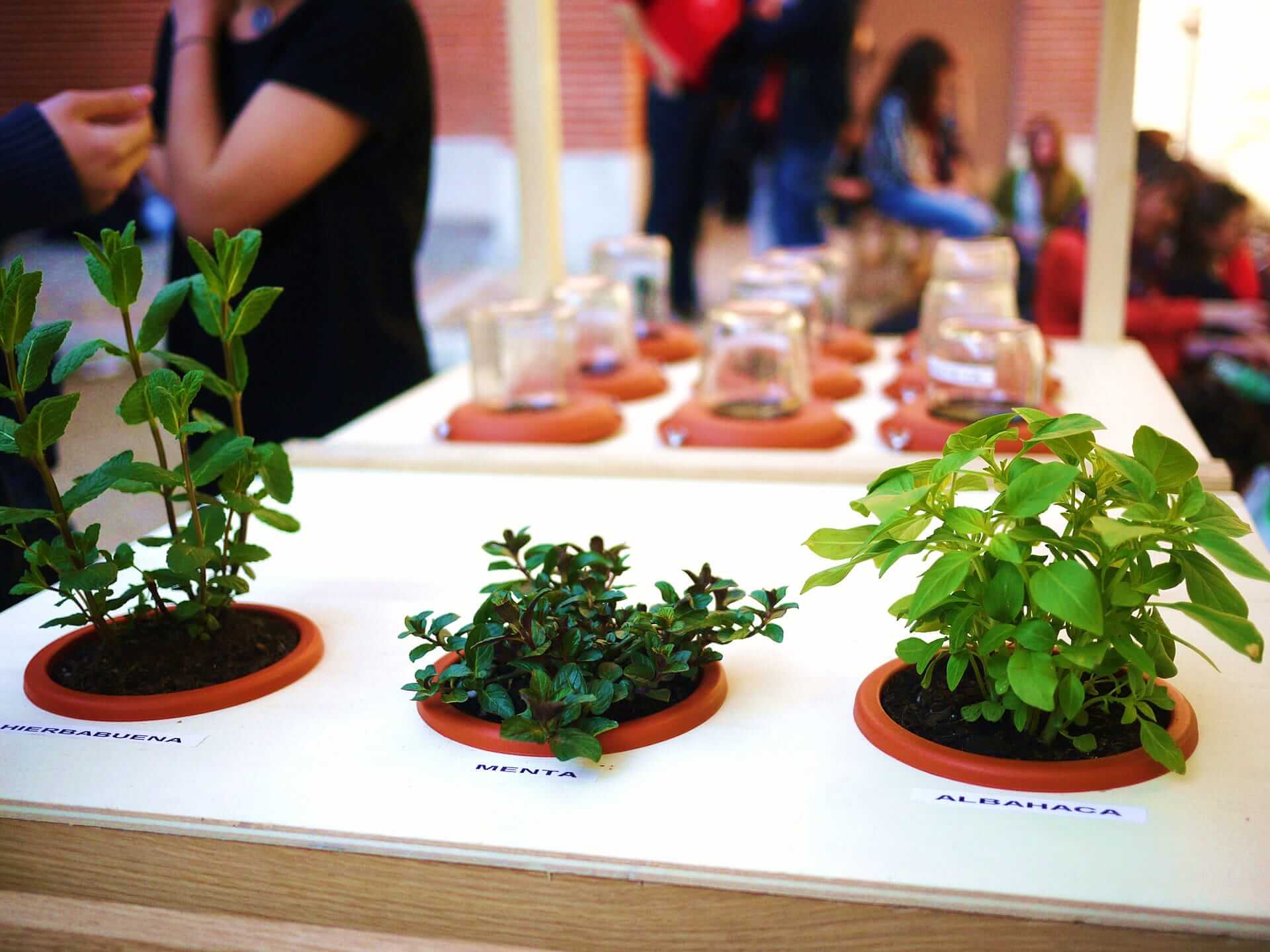 丨西班牙马德里丨Pezestudio.org-4