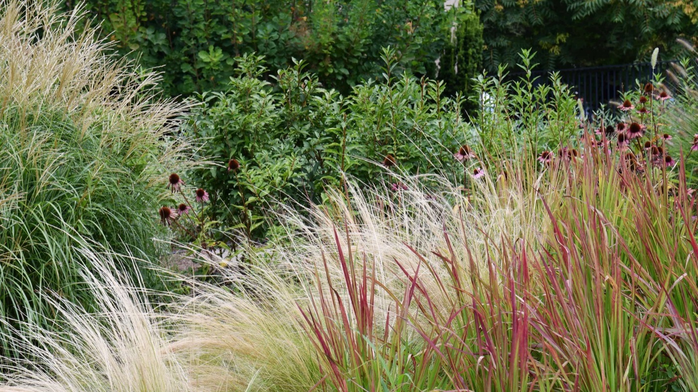 Újhegy Promenade · 翻新公共空间,重塑社区活力丨匈牙利布达佩斯丨LéptékTerv-16