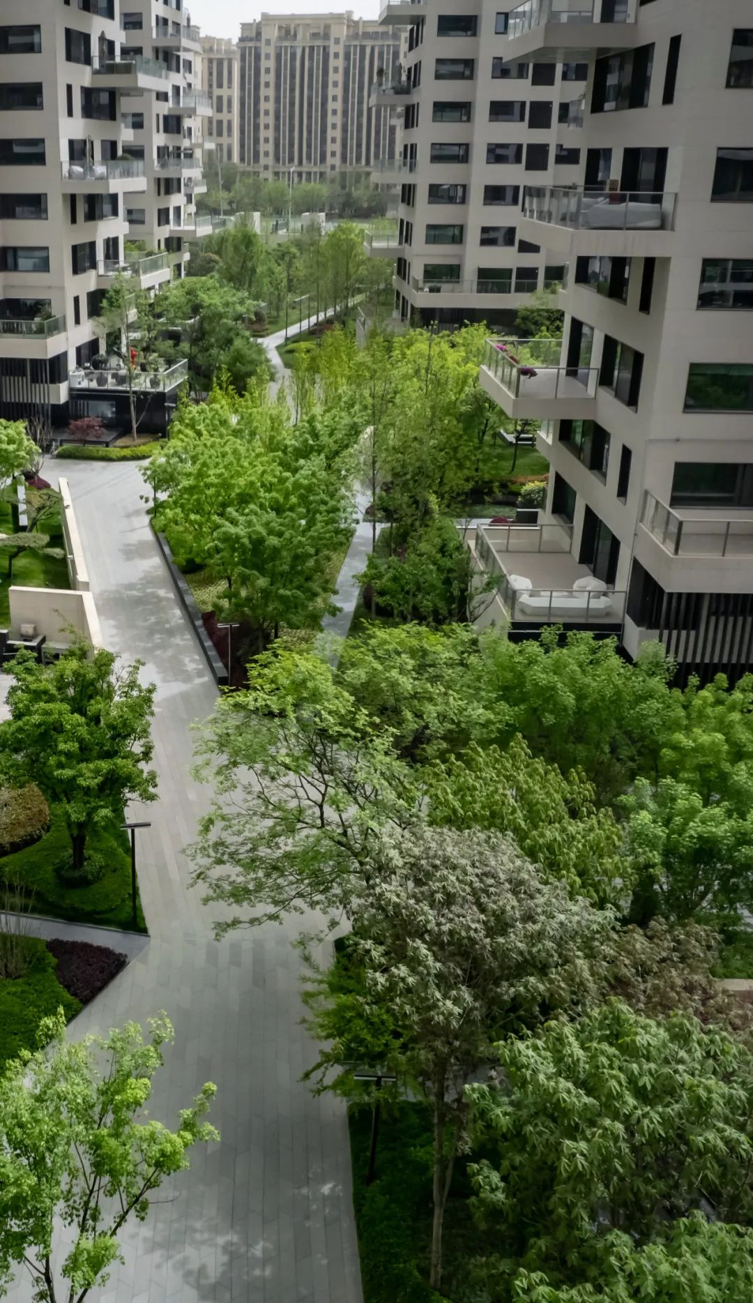 西安曲江·雁栖玫瑰园住宅景观丨中国西安-18