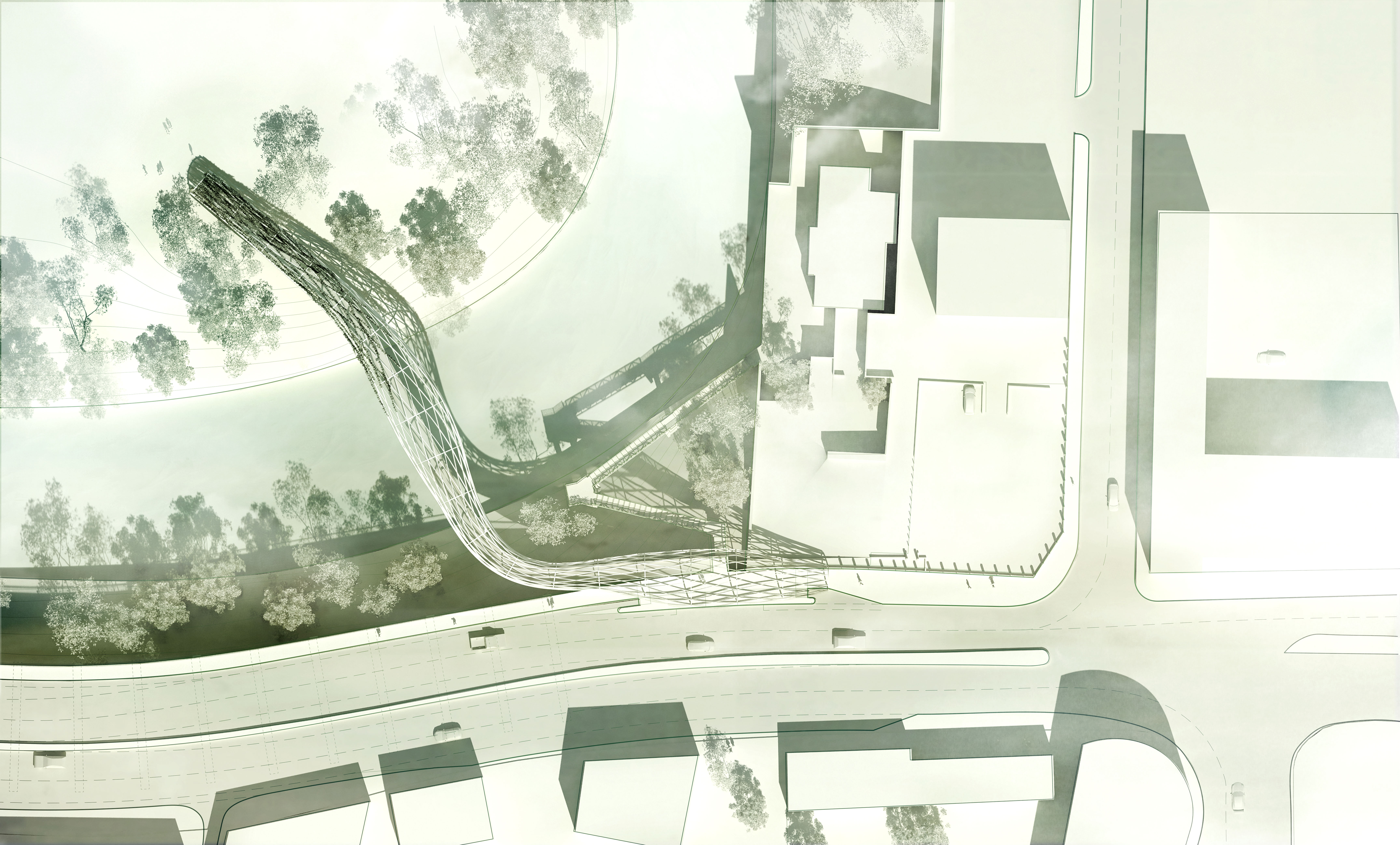 Salford Meadows Competition | Standard-9