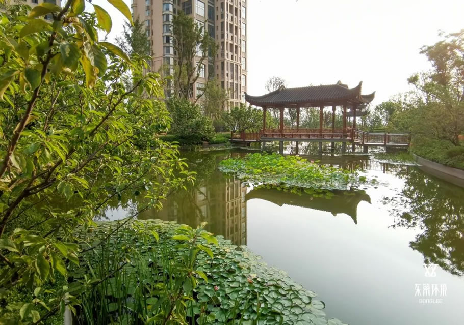 青岛星河湾·朗园丨中国青岛丨广东东篱环境股份有限公司-20