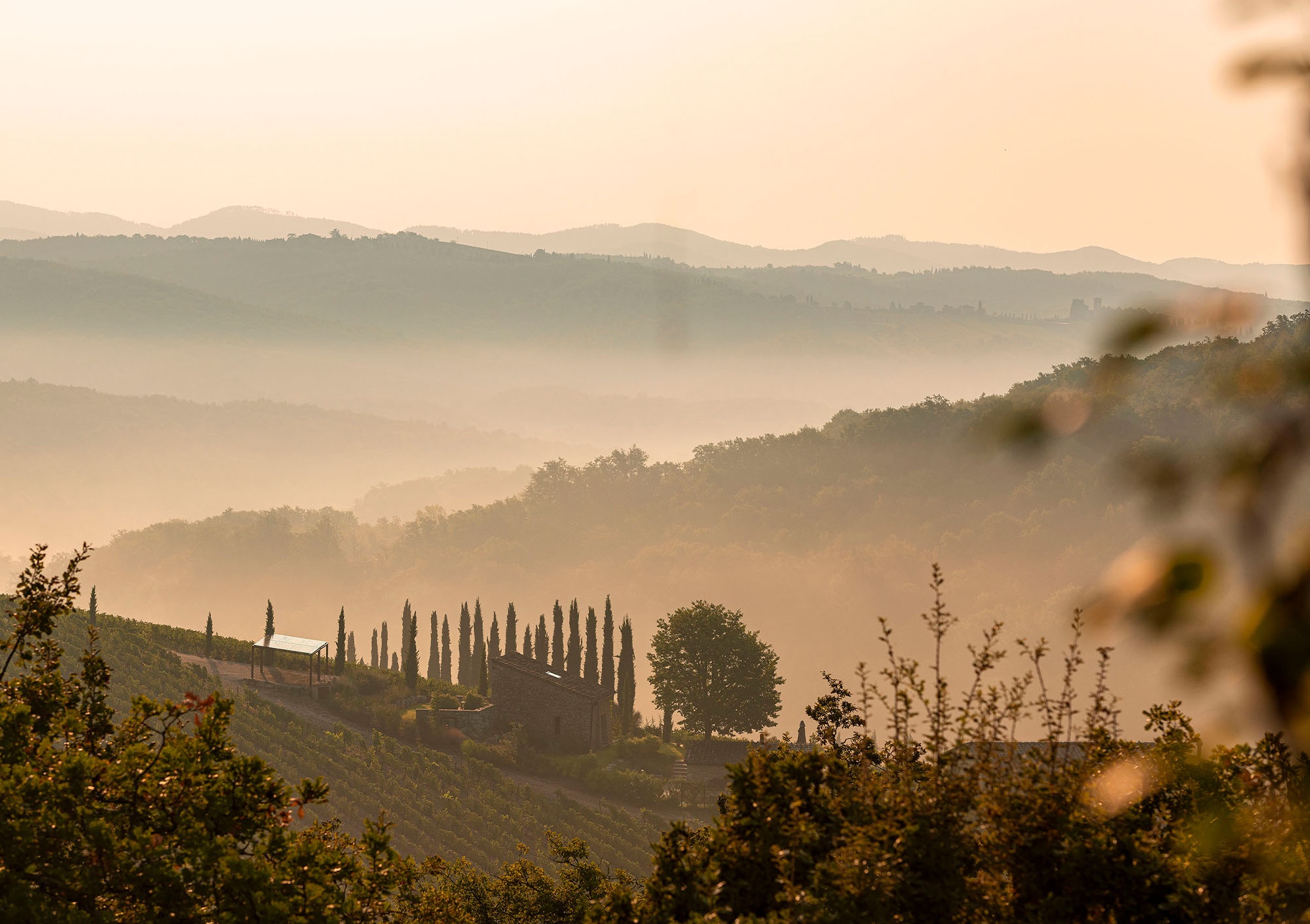 Casa Morelli住宅丨Holzrausch-2