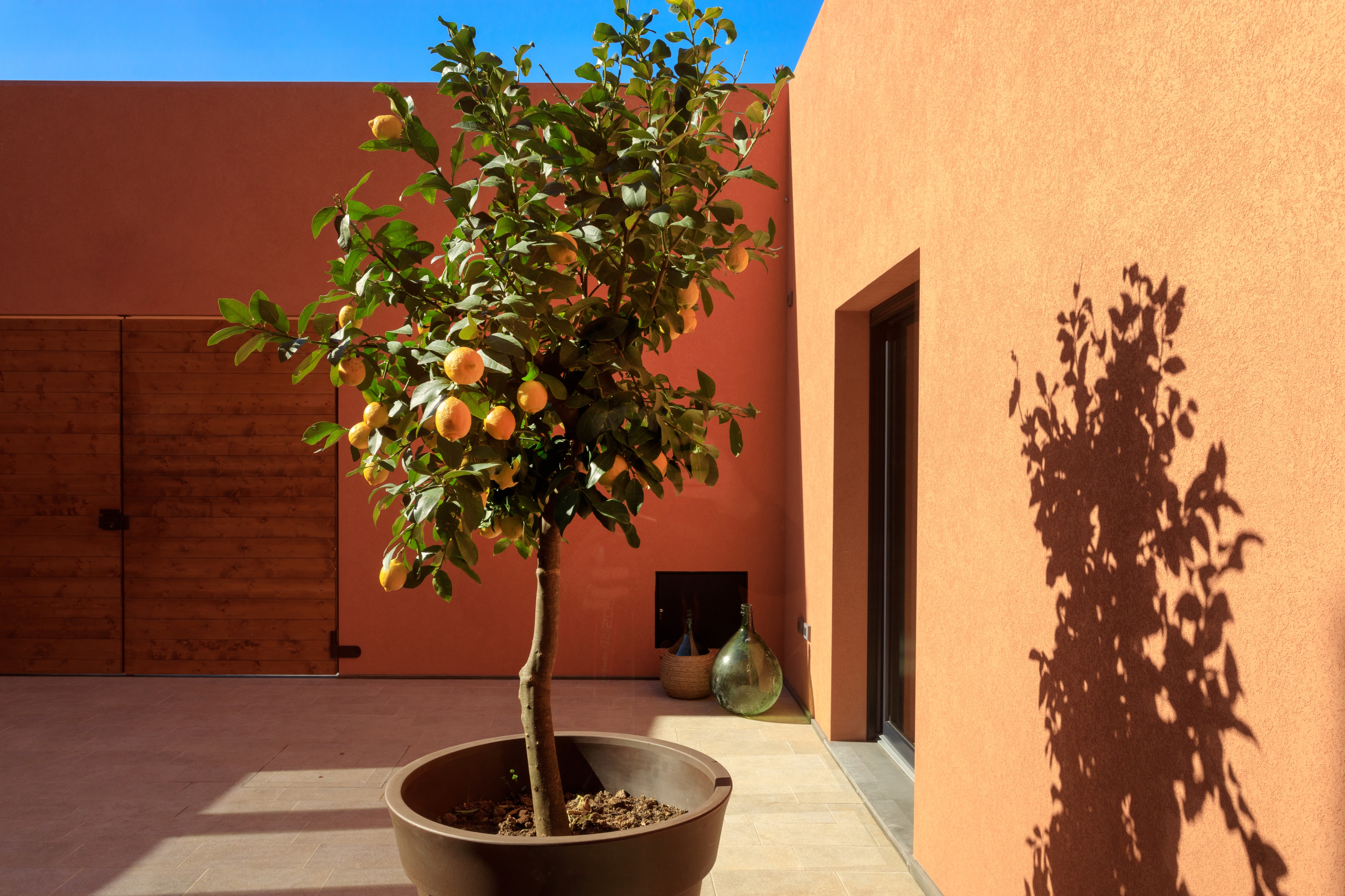 CasaFEVI 别墅改造丨意大利特拉帕尼-16