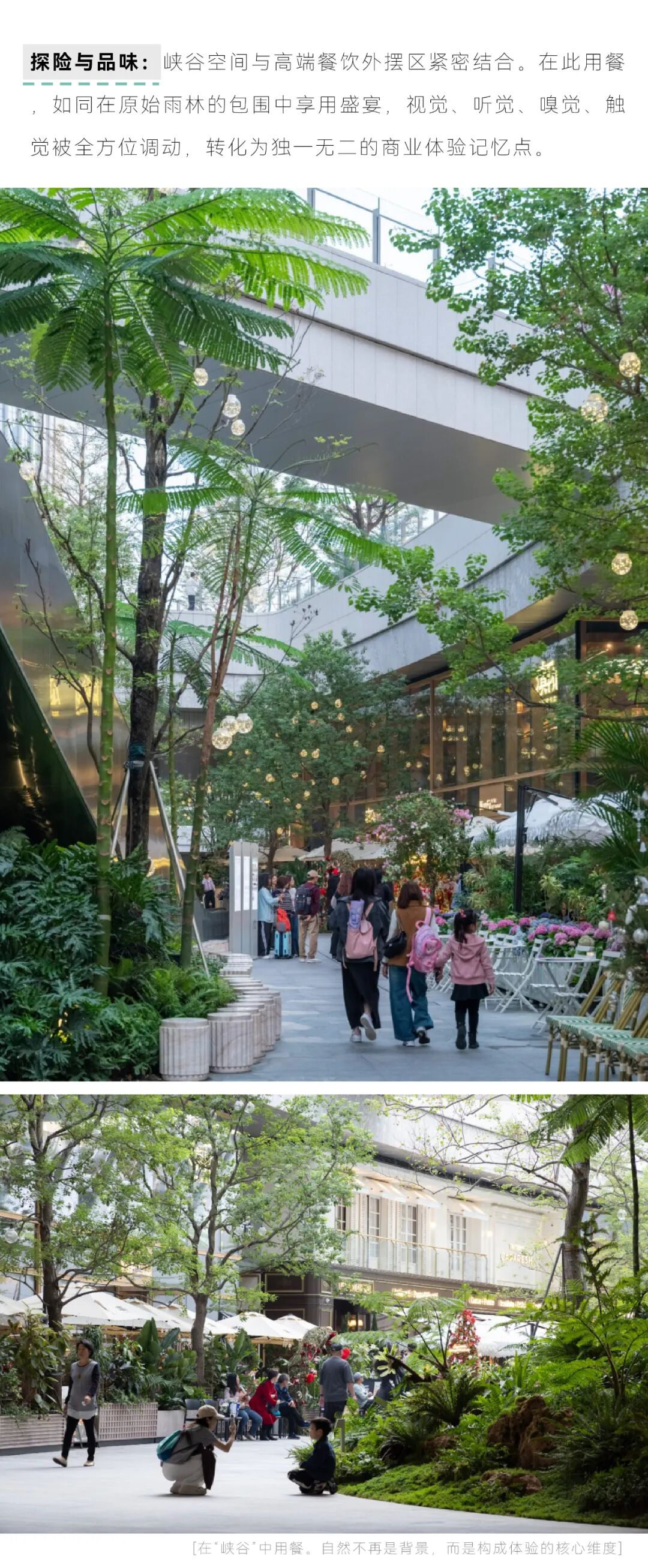 深圳湾万象城二期 丨中国广东深圳丨iPD澳洲艺普得-11