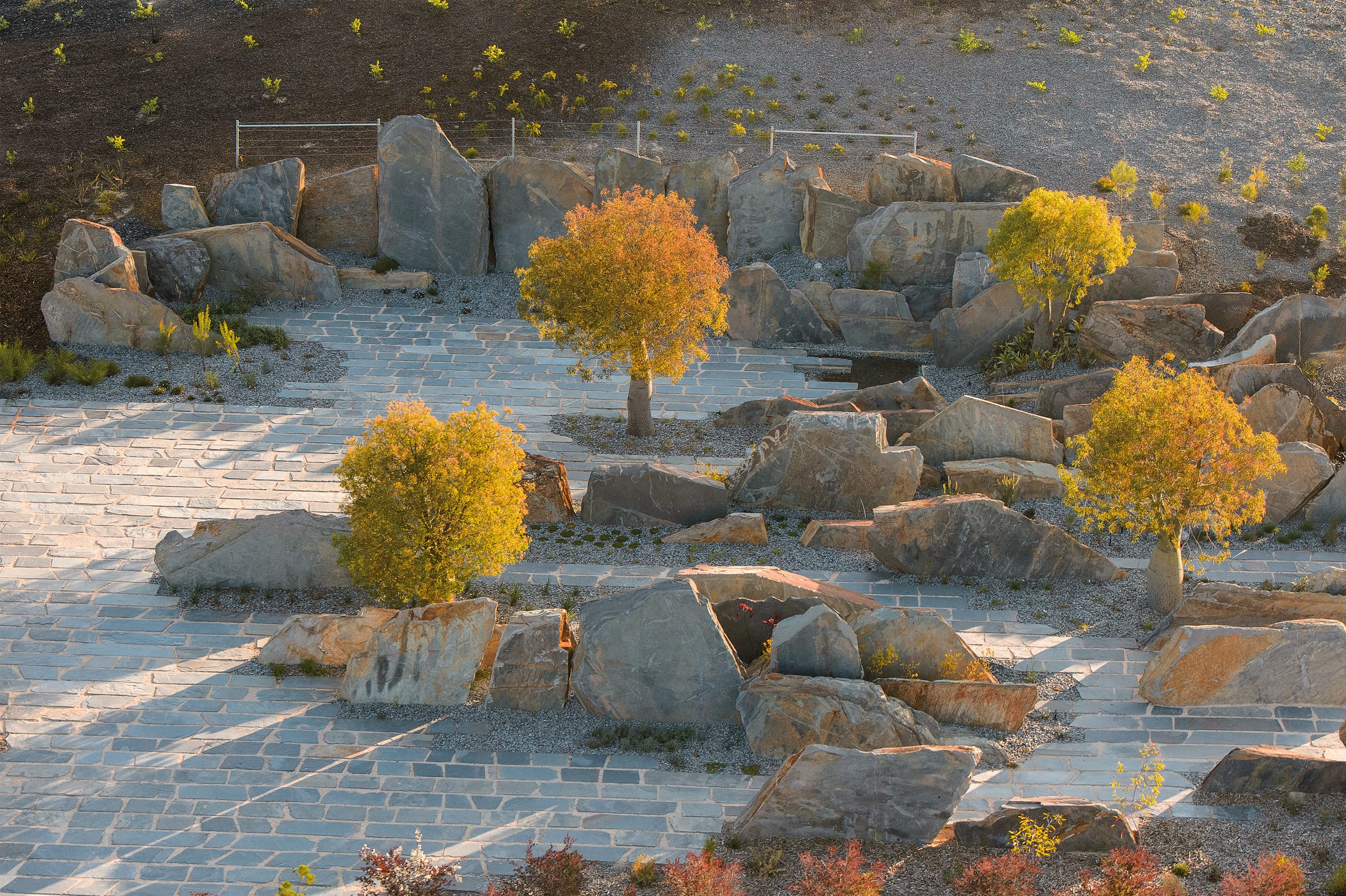 澳大利亚花园 (The Australian Garden)-17