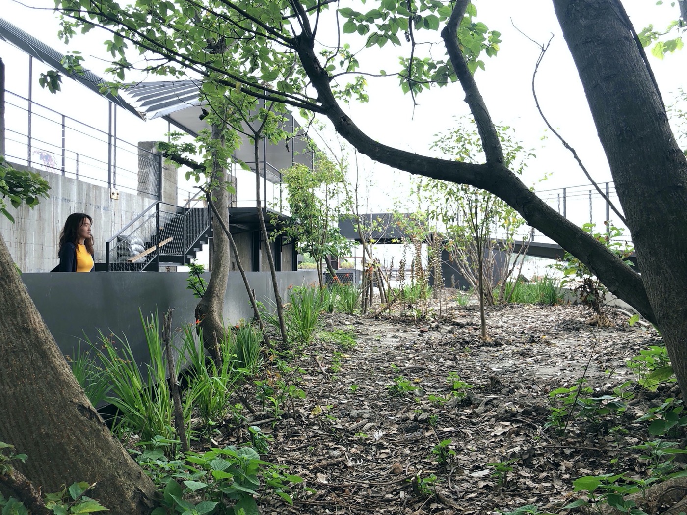 Edge Garden 景观设计丨中国上海丨YIYU-8