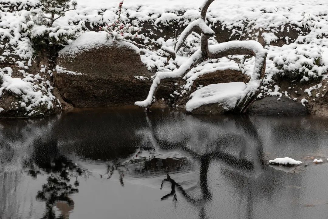 乌克兰 Shkrub 住宅丨Serhii Makhno-68