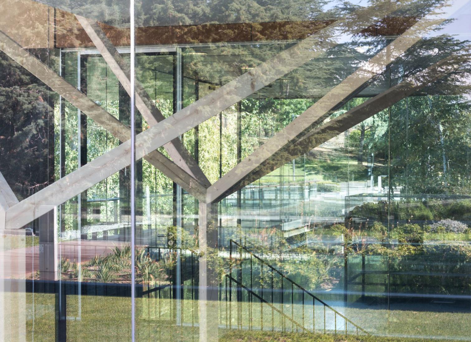 树林中的亮丽办公室-8