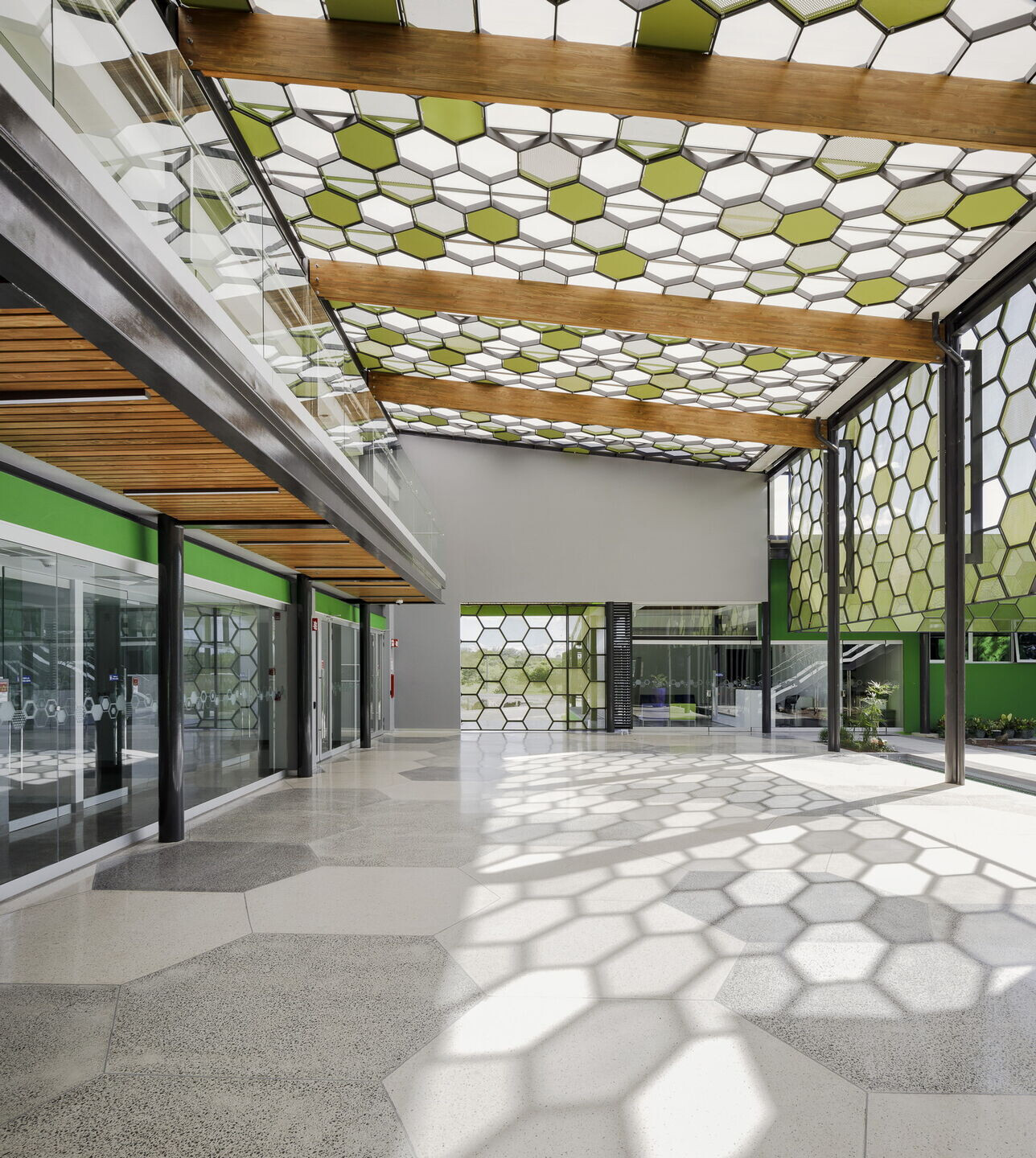 哥斯达黎加 ACIB 生物医学实验室-20