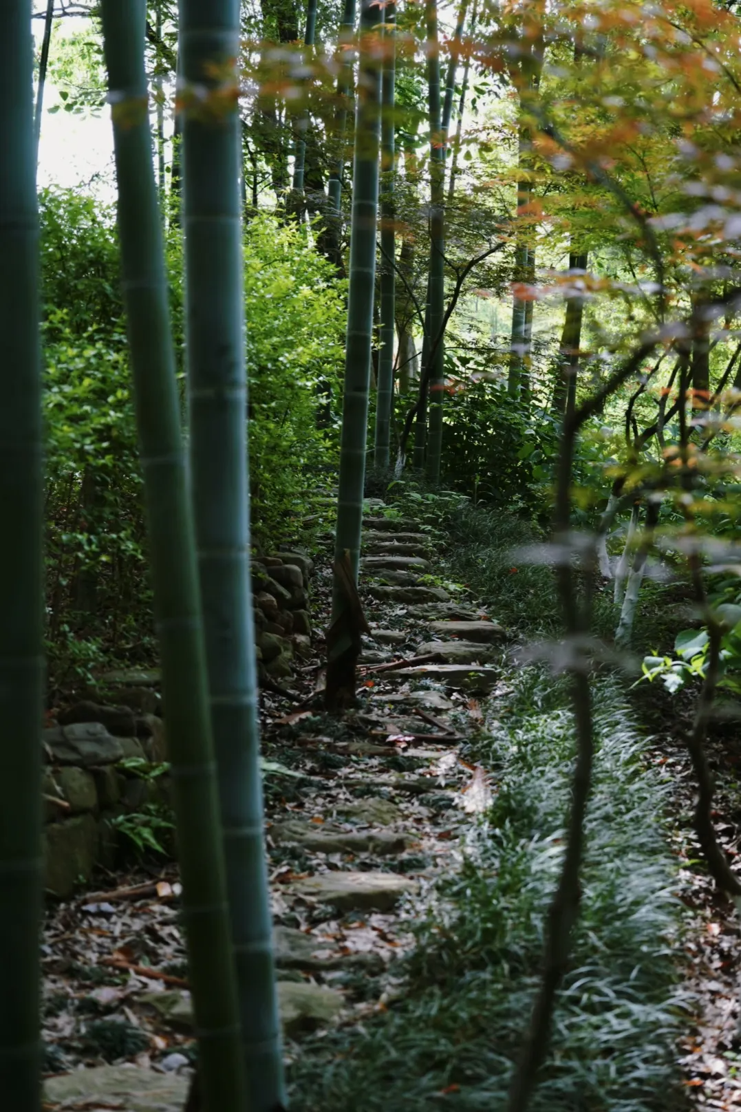 春山在望 RESUN丨中国江苏丨尚壹扬设计-125