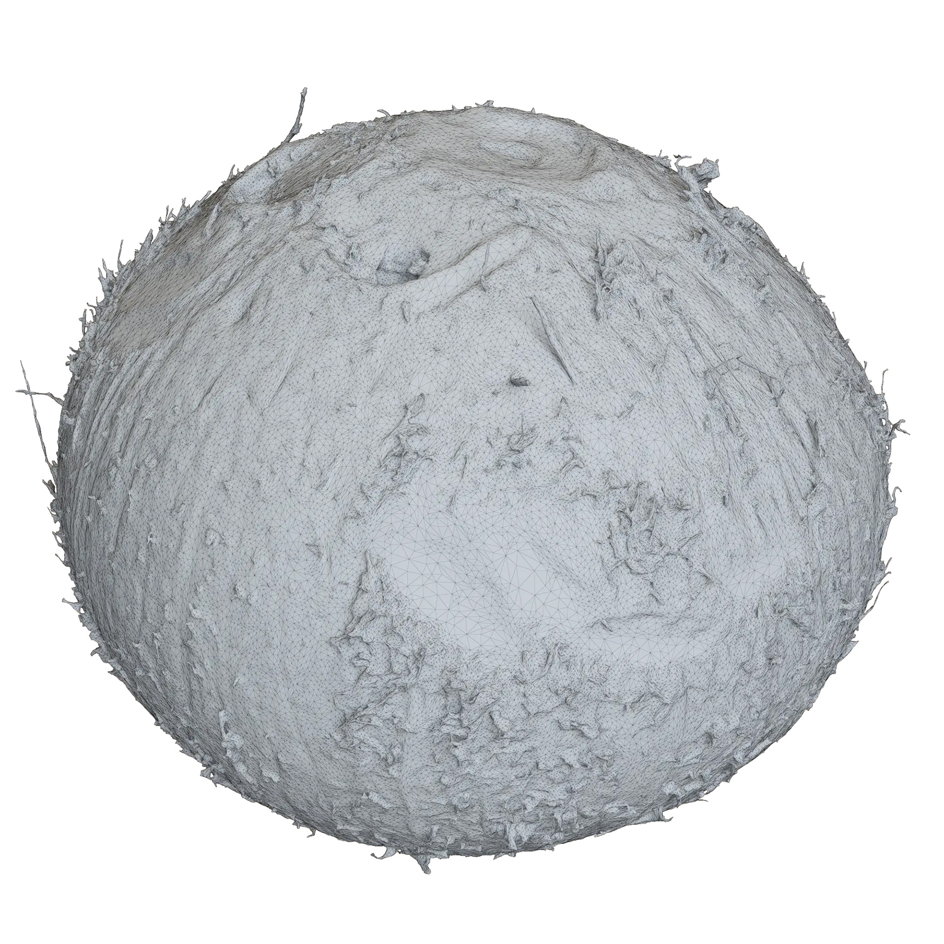 Coconut Fruit 03（3D椰子水果模型项目）-3