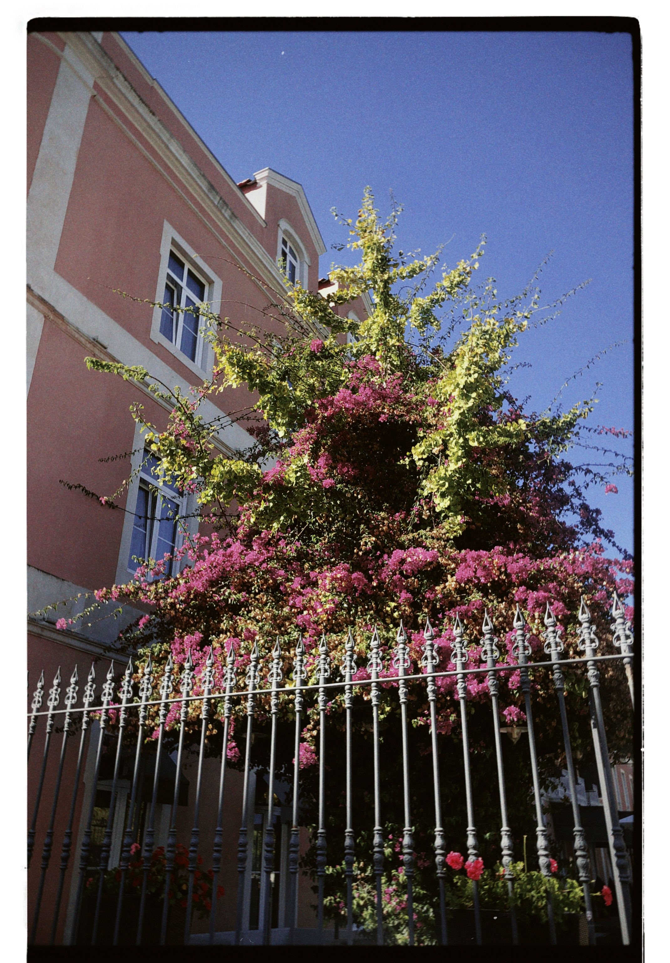 Caldas da Rainha, Portugal-7