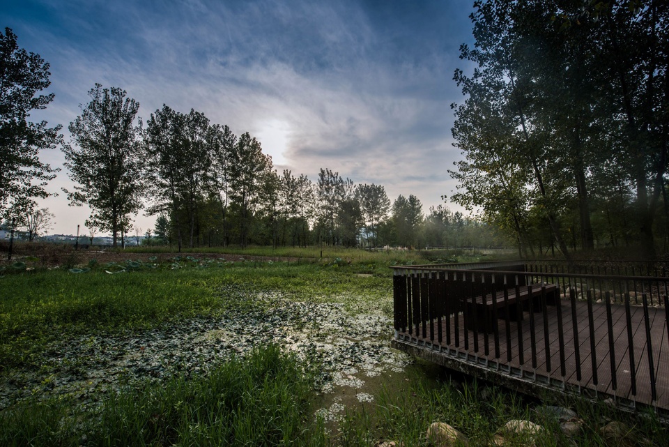 宜昌黄柏河湿地公园丨中国宜昌丨杭州园林设计院股份有限公司-103