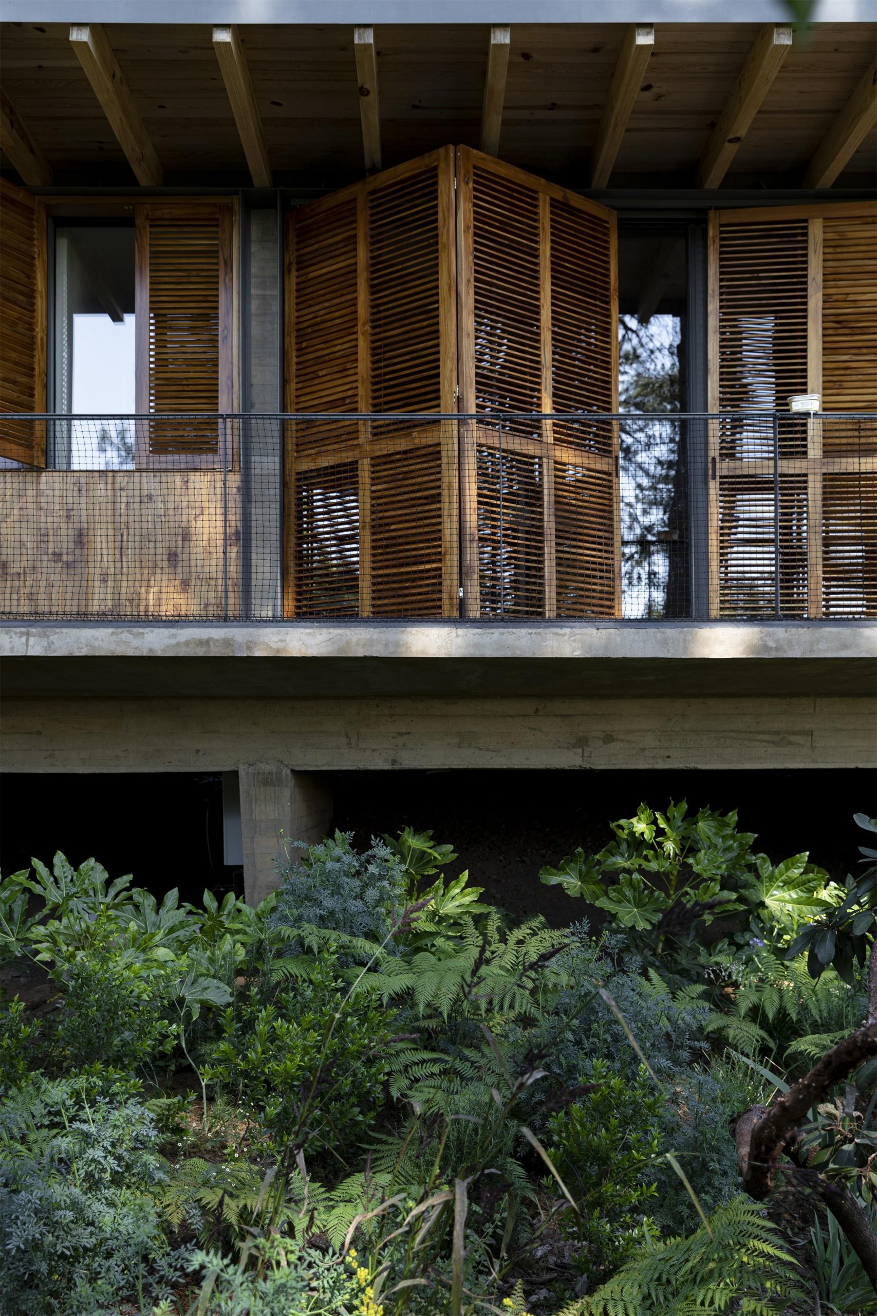 墨西哥森林花园-32