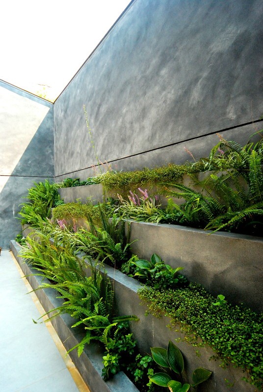 丨日本宫崎丨有限会社COGITE-23