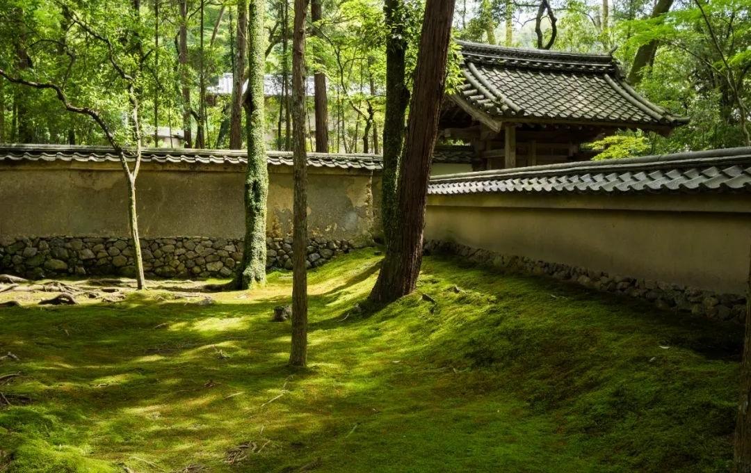 梦窗疏石·禅庭闲寂丨日本-76