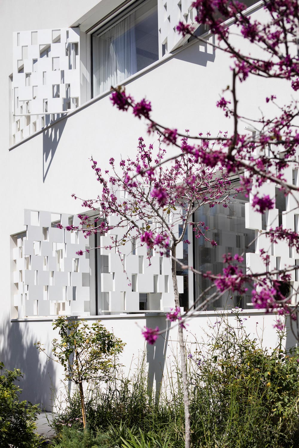 特拉维夫现代乡村之家-16