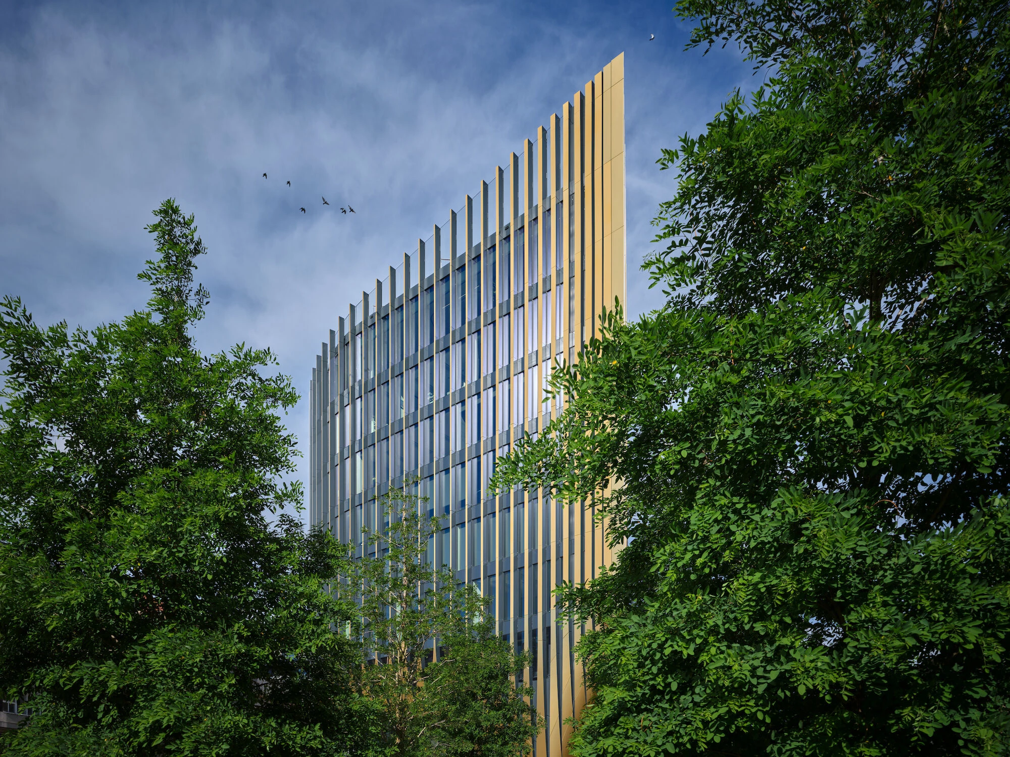 Masaryčka 建筑丨捷克丨扎哈·哈迪德建筑事务所-8