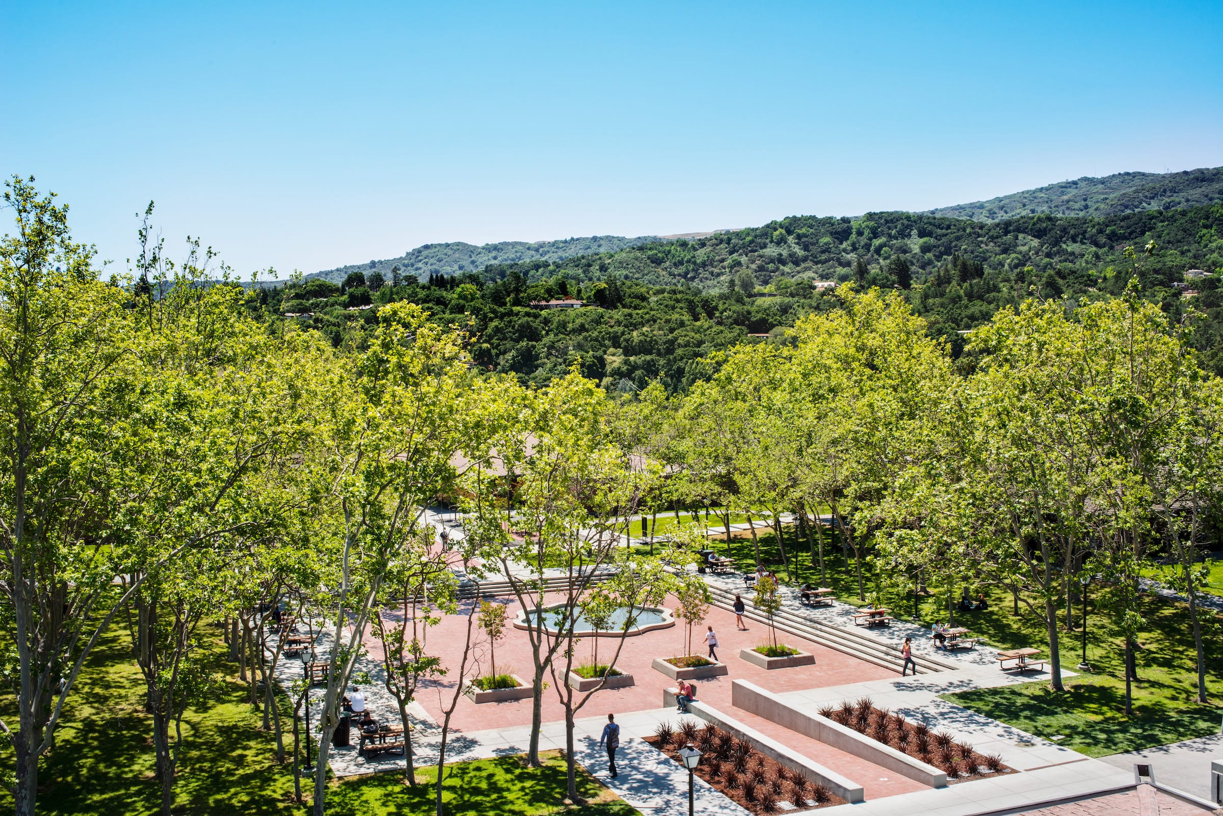 福特希尔学院-7