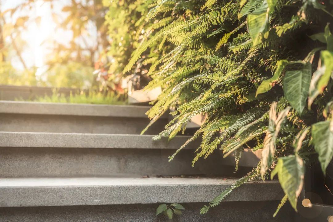 广州东塔(周大福金融中心)丨中国广州丨泰国P Landscape,普邦设计-47